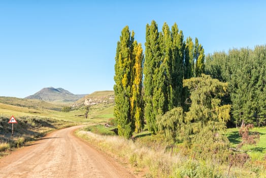 Autumn farm landscape on road R396 between Rhodes and Barkly-East in the Eastern Cape Province