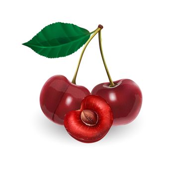 Cherry with leaves. Isolated illustration on white background.