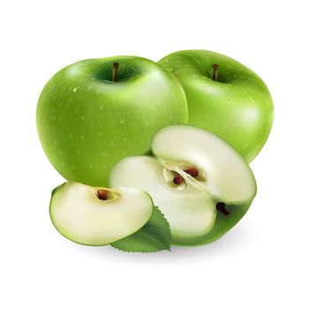 Green apple, isolated illustration on white background.