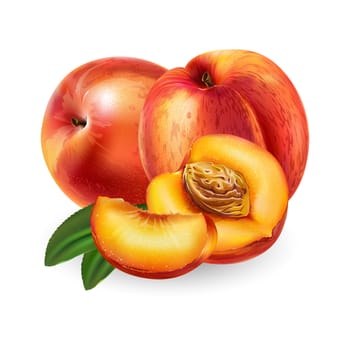 Peach with leaves. Isolated illustration on white background.