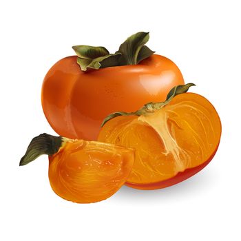 Persimmon with leaves. Isolated illustration on white background.