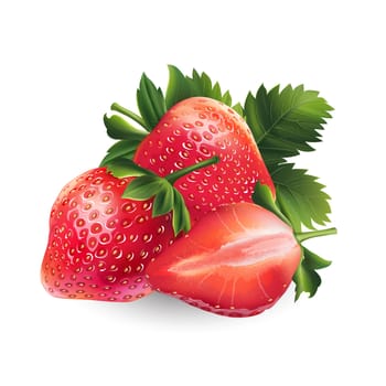 Strawberry and his sliced segment. Isolated illustration on white background.