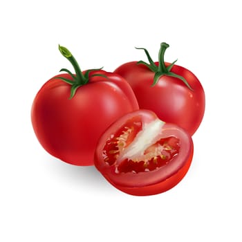 Tomatoes and slicing, isolated illustration on white background