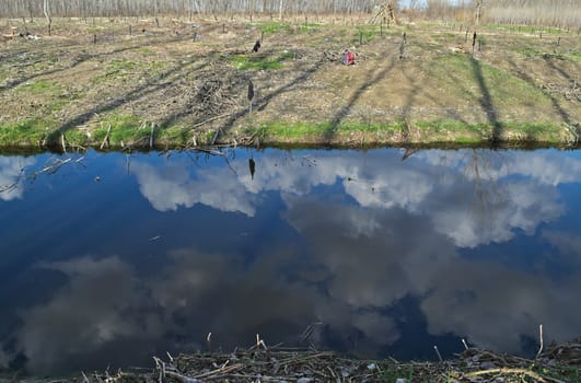 Irrigation canal during early spring and the other side