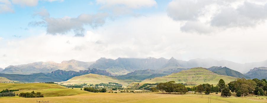 Panoramic view of the Drakensberg at Garden Castle near Underberg. Rhino Peak (3056m above sea level) is visible a third from right