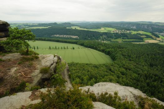 Beautiful summer landscape with meadows, forests and sky