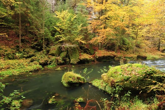 Autumn colored trees, leaves, rocks around the beautiful river