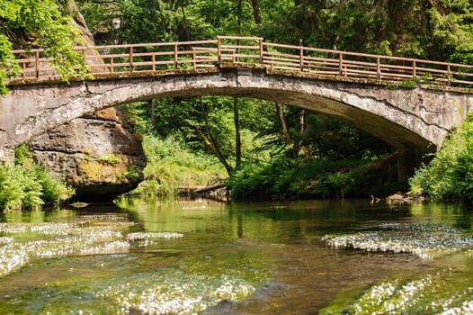 Old bridge over the river Kamenice with plants in Bohemia