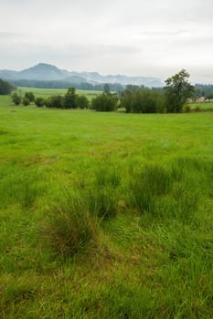 Green landscape of Czech Saxon Switzerland after the rain