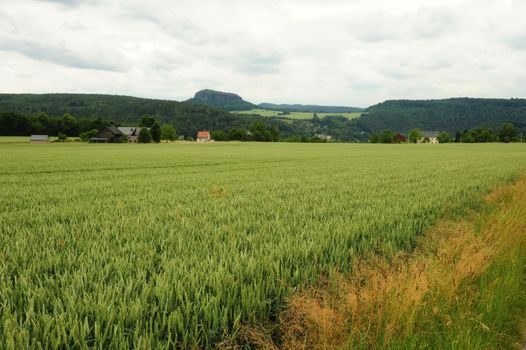 Beautiful summer landscape with meadows, forests and sky