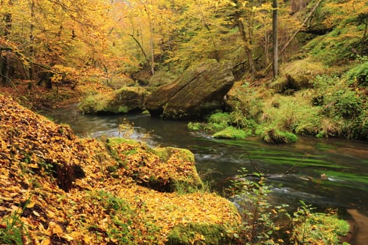 Autumn colored trees, leaves, rocks around the beautiful river