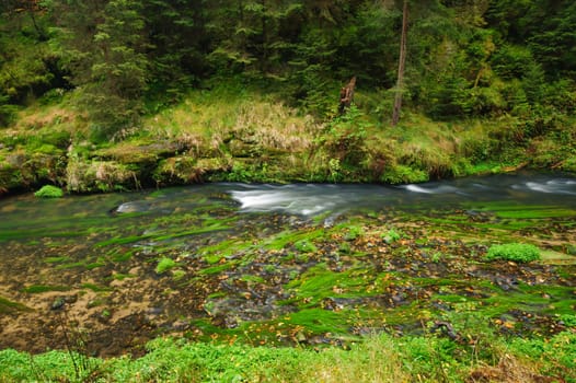 Autumn colored trees, leaves, rocks around the beautiful river