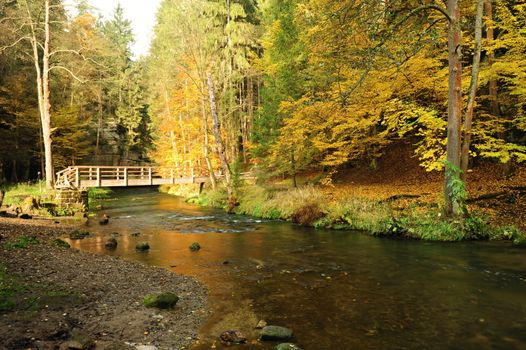 Autumn colored trees, leaves, rocks around the beautiful river