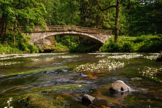 Old bridge over the river Kamenice with plants in Bohemia