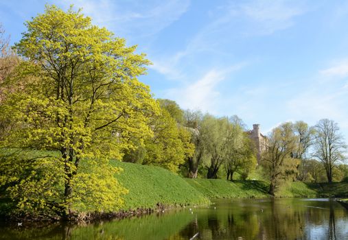 Snelli Tiik pond in Tallinn, capital of Estonia. Lush grass and trees are reflected in the still water on a sunny day.