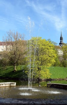 Fountain shoot jets of water into the air in Tallinn, Estonia. A pigeon drinks from the pool and beyond the buildings of the town are visible.