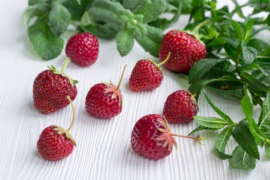 Red strawberries with green herbal mix of fresh mint and melissa herbs on white wooden background