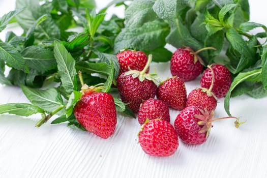 Close-up of red strawberries with green herbal mix of fresh mint and melissa herbs on white wooden background