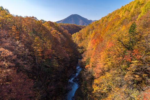 Nakatsugawa gorge from bridge at Fukushima in autumn fall Japan