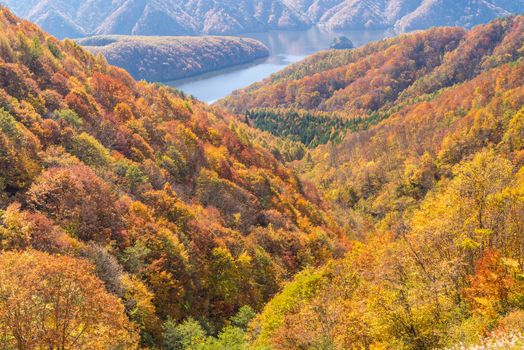 Nakatsugawa gorge from view point Azuma lake line at Urabandai Fukushima in autumn fall Japan