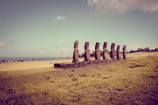 Moais statues, ahu Akivi, easter island, Chile