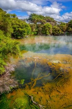 Hot springs lake in Rotorua park, New Zealand