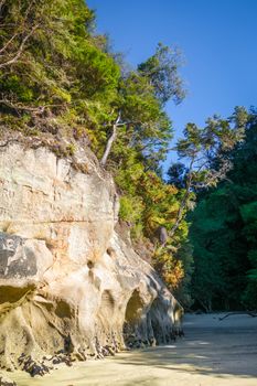 Abel Tasman National Park. Creek and sand beach. New Zealand