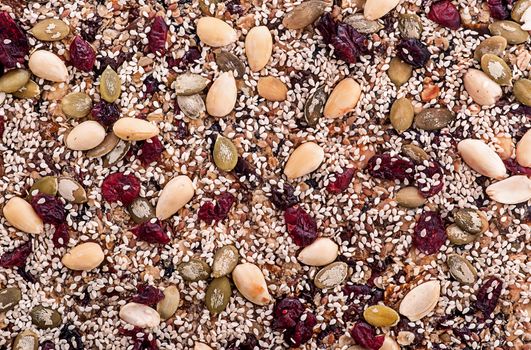 Abstract background of uncut granola bar top view