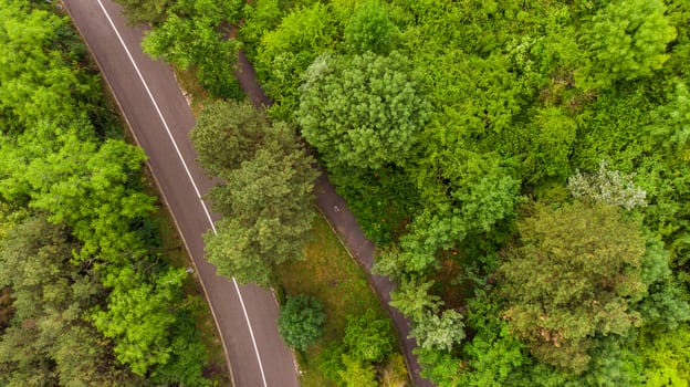 walking trail in the park. shooting from a drone from a height of 150 meters. view of the road and the forest