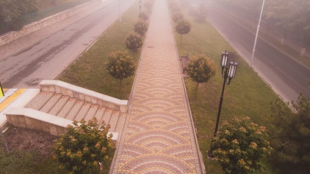 the road in the park reminds the royal path. The pedestrian path is lined with colored tiles. Young trees grow along the edges of the road. Part of the road lurks in a dense fog