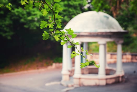 rotunda through the green leaves of trees