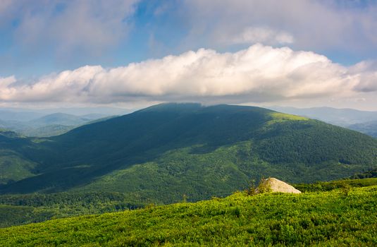 landscape with rocks on grassy alpine hillside of Carpathian mountain ridge. Gorgeous view of Polonina on fine summer weather