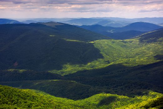 forested rolling hills of Carpathian mountains. gorgeous nature scenery on a cloudy summer day