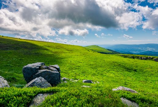 grassy slopes with huge rocks. beautiful mountainous landscape in summertime. location mountain Runa, TransCarpathian region of Ukraine