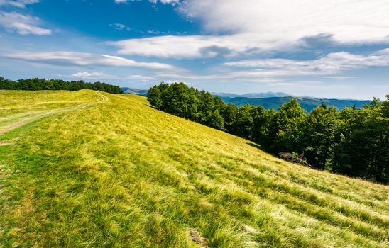 mountain road uphill in to the beech forest. Svydovets mountain ridge in the distance. stunning landscape of Carpathian mountains, Ukraine