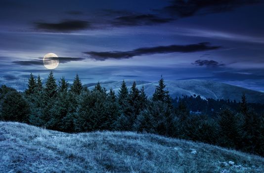 summer landscape with forested hills at night in full moon light. beautiful scenery of Svydovets mountain ridge, Ukraine