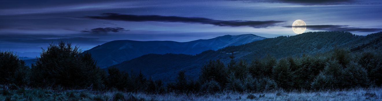 panorama of Carpathian mountains at night in full moon light. beautiful landscape with forested hills and Apetska mountain in the distance. 