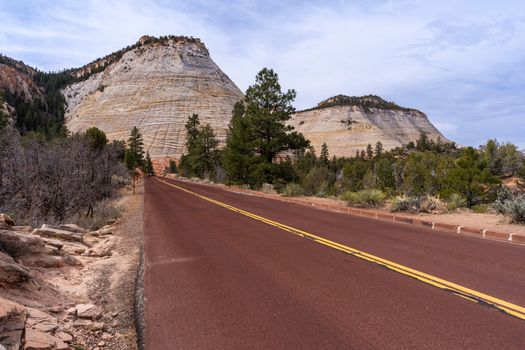 Checkerboard Mesa at Zion national park in Zion, Utah USA