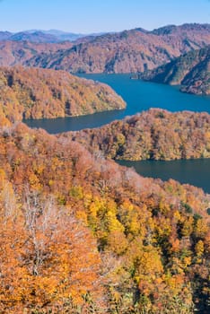 Autumn fall foliage Koyo in Tagokura dam Tadami city Fukushima Japan 