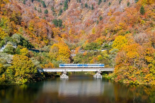 Autumn fall foliage Koyo in Tagokura dam Tadami city Fukushima Japan 