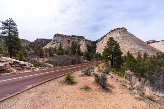 Checkerboard Mesa at Zion national park in Zion, Utah USA