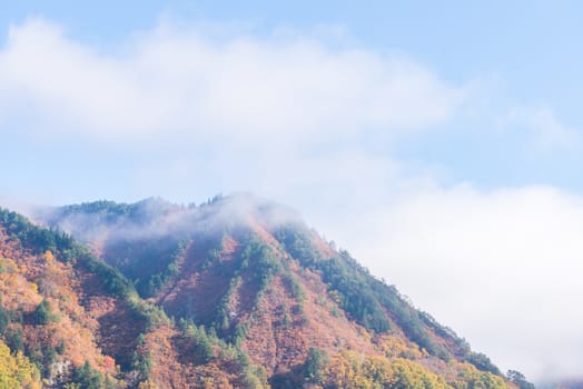 Autumn fall foliage Koyo in Tadami Region Fukushima Japan