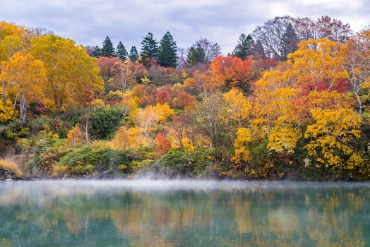 Autumn Forest onsen lake at Jigoku Numa, Hakkoda Aomori Tohoku Japan