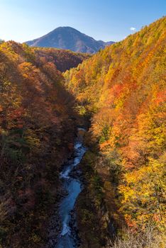 Nakatsugawa gorge from bridge at Fukushima in autumn fall Japan