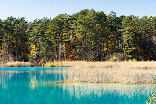 Goshiki-numa Five Colour Pond in Autumn, Urabandai, Fukushima, Japan