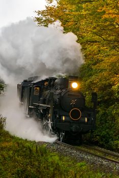 steam locomotive in autumn forest at Fukushima Japan