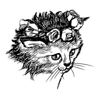 freehand sketch illustration of little cat, kitten, doodle hand drawn