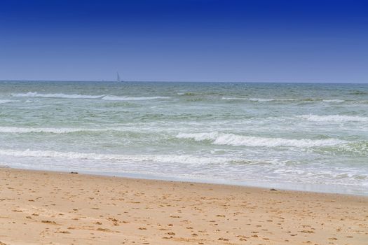 Protected landscape, dune on the beach of Holland in the background blue sky.