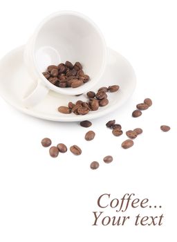 The coffee beans in a cup close-up