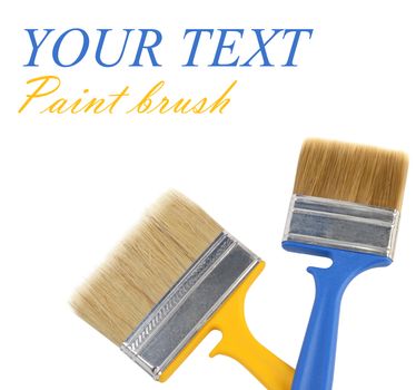 Brush for painting paint isolated on white
